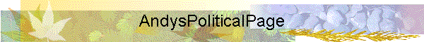 AndysPoliticalPage